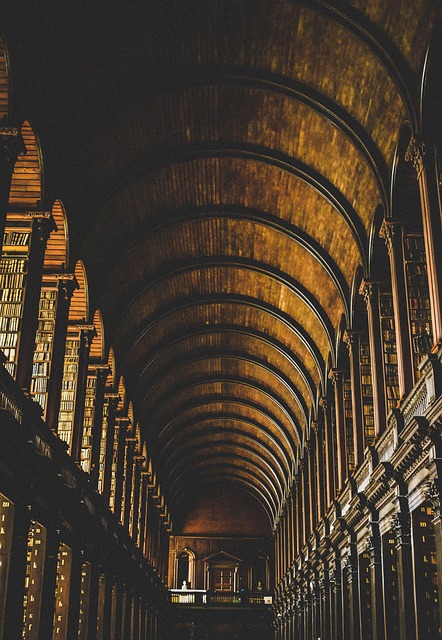 Dublin Adventures: Your Essential Travel Guide to Ireland's Capital, Culture, and Iconic Sights