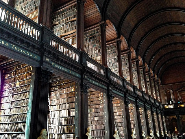 Dublin Essentials: A Complete Travel Guide to Discovering Ireland's Captivating Capital City